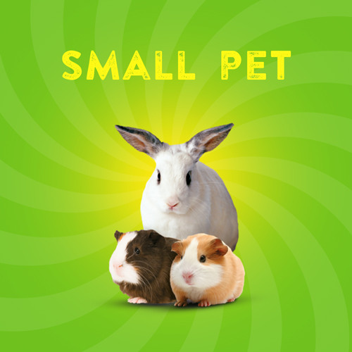 30-Small-pet.jpg